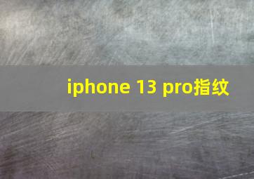 iphone 13 pro指纹